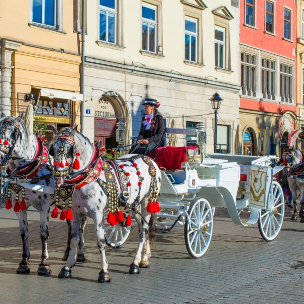 Carrozza trainata da cavalli di Cracovia