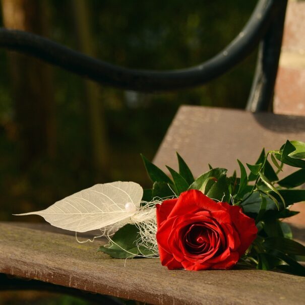 троянда на столі