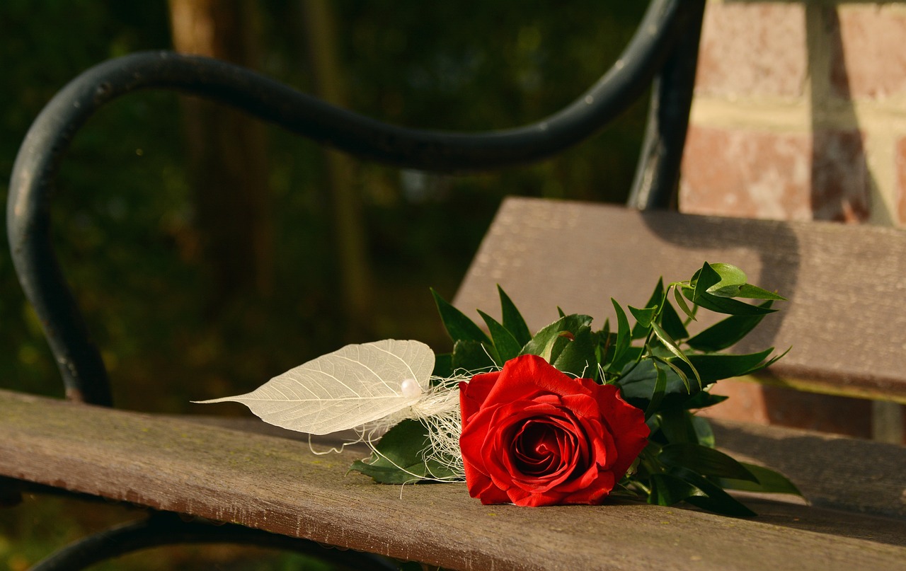 róża na stole